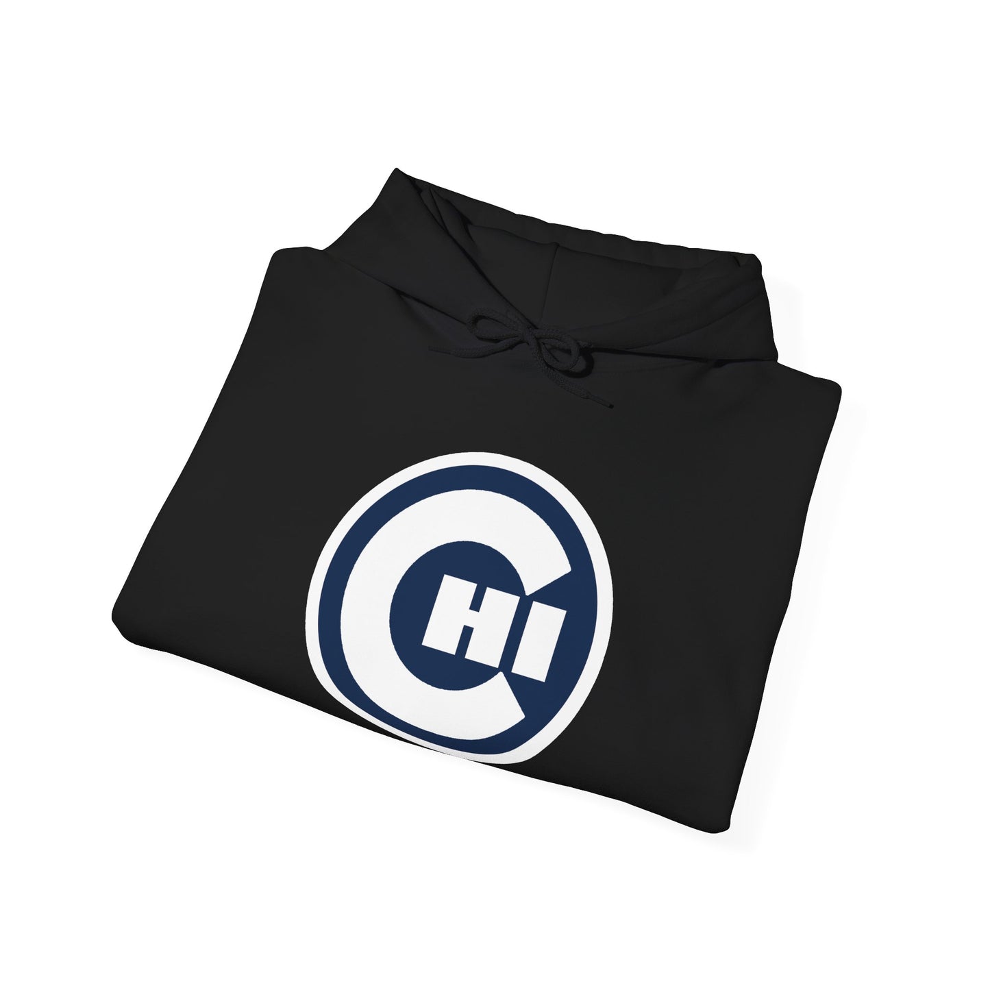 CHICAGO KIDS EMBLEM HOODIE