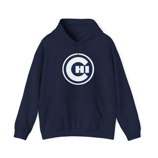 CHICAGO KIDS EMBLEM HOODIE