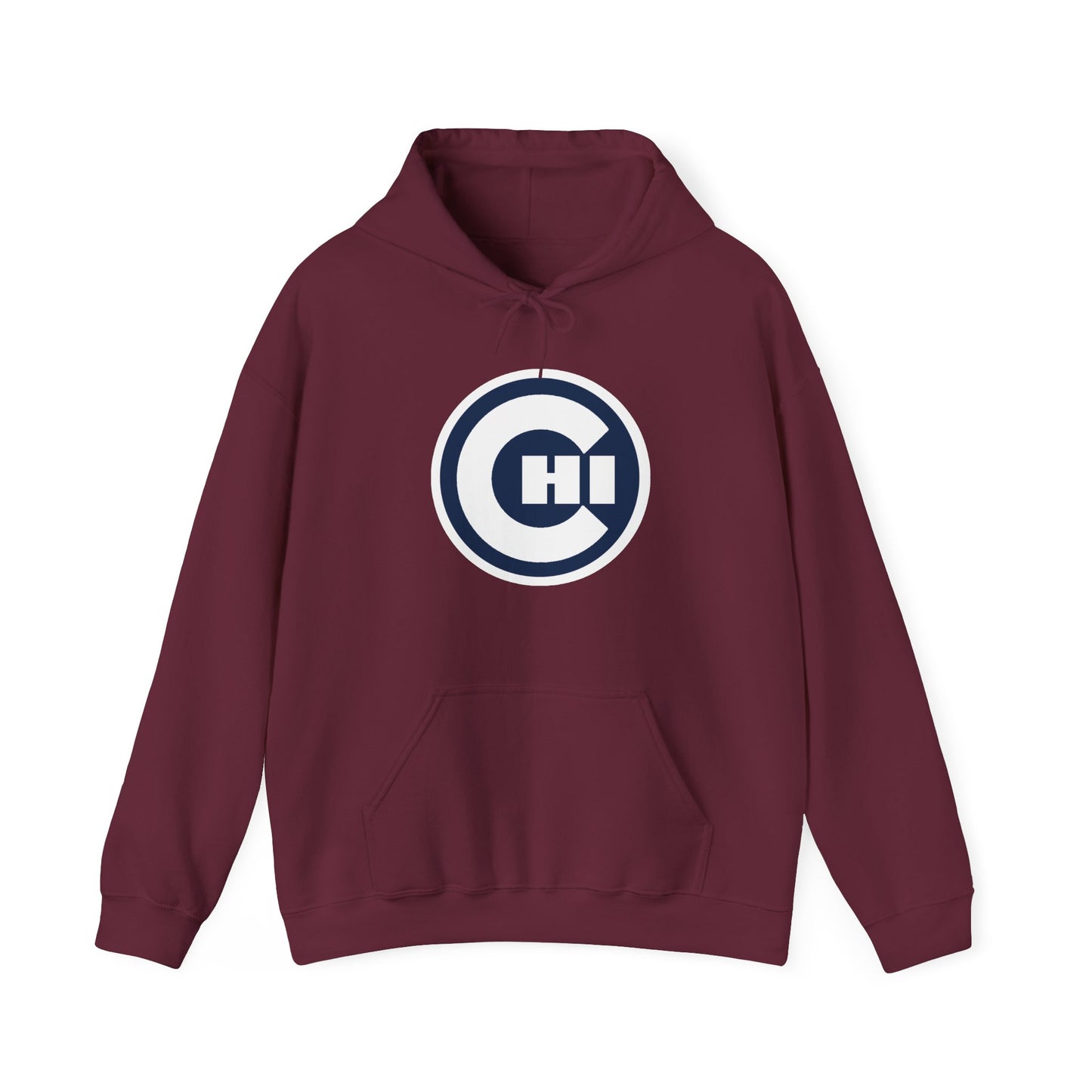 CHICAGO KIDS EMBLEM HOODIE