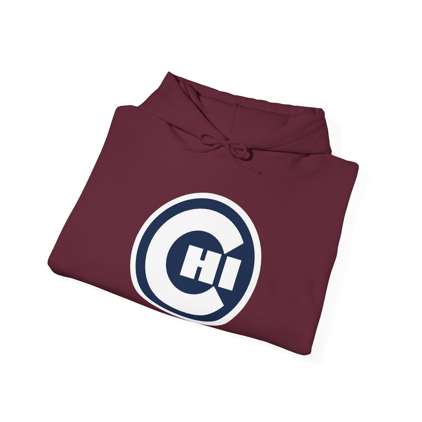 CHICAGO KIDS EMBLEM HOODIE